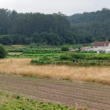 Casa Pipa, Disconnection In Nature